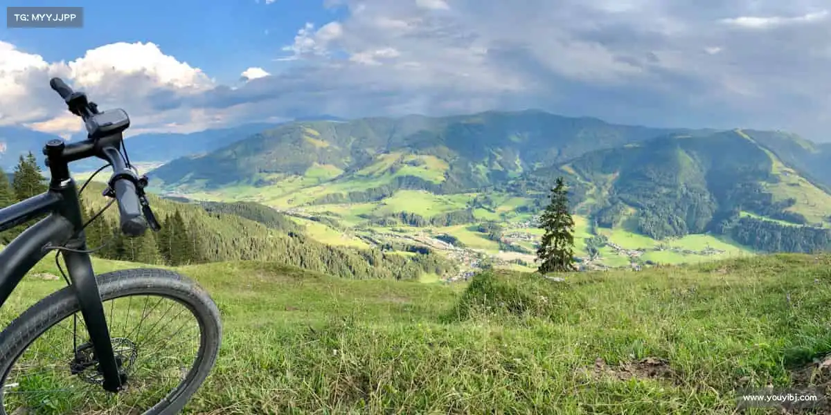 我们的品牌价值